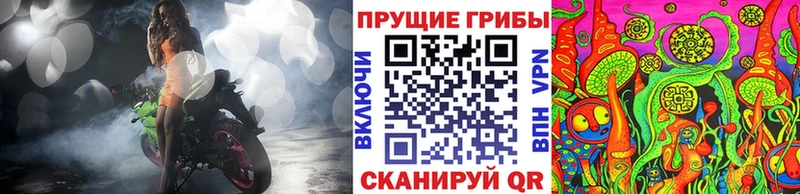 Купить  Ачхой-Мартан  Галлюциногенные грибы Psilocybe 